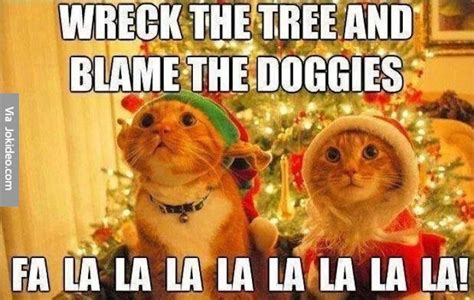 funny cat christmas memes